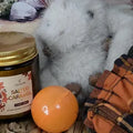 Otoño (Fall) Cozy Bundle | West Texas Inspired Bundle